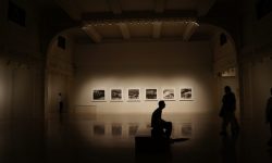 The Final Exhibition of the Students of the Department of Visual and Media Arts