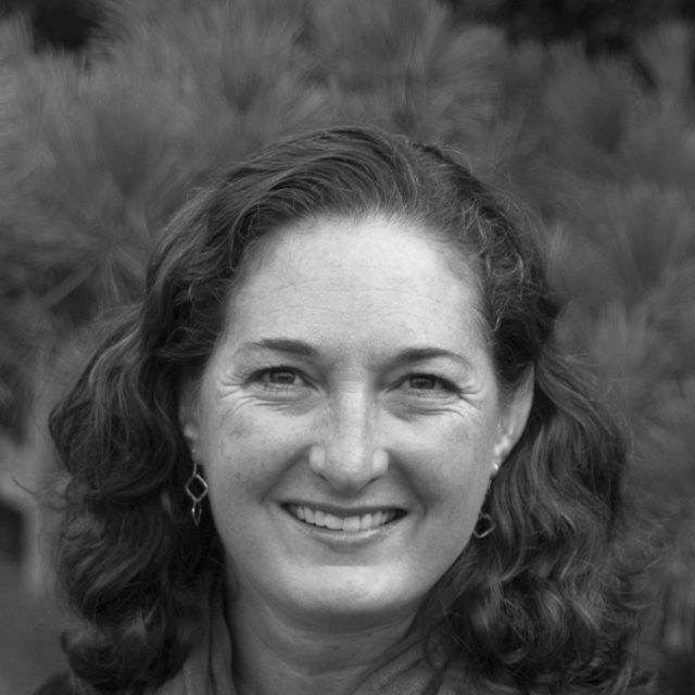 ART TERAPIJA Izv. prof. dr. sc. Raquel Chapin Stephenson, ATR-BC, LCAT