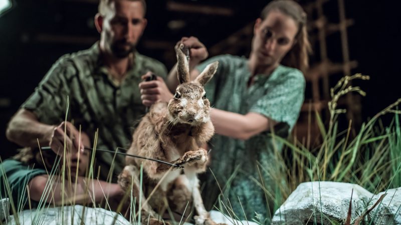 Still Life – Živi prikaz života koji više ne postoje