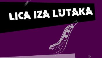 Lica iza lutaka