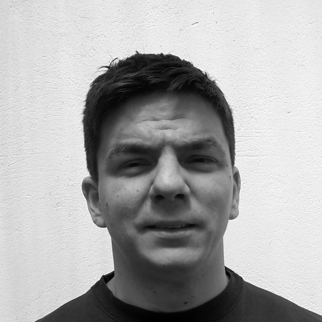 Igor Dešić, umjetnički suradnik