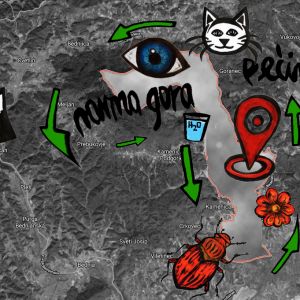 Patricija Huđ Art Mapping rad 190520