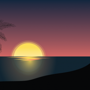 Sunset Dragan Vuleta