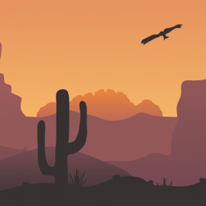 Western Desert Dragan Vuleta