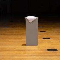 internacionalno_studentsko biennale ljepota