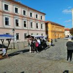 Knjiga za 5! u suton