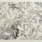 Developed using darktable 3.4.1.1