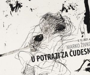 Marko-Živković-U potrazi za čudesnim